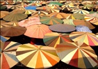 Parasols